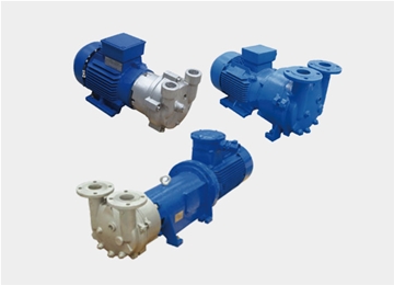 2BV系列水環式真(zhen)空泵