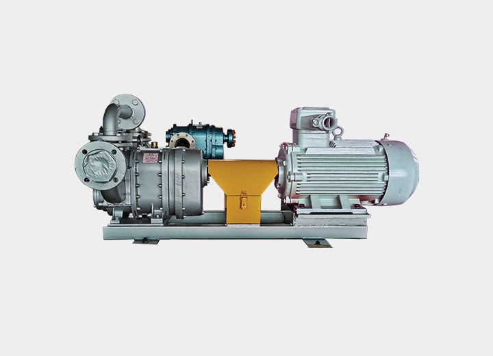 橡(xiàng)膠轉子(zǐ)泵